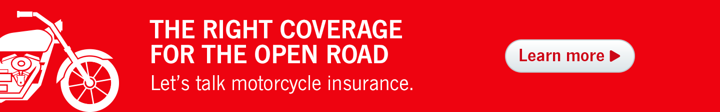 Steve Marchese State Farm Insurance Agent In Ottawa On The Right Coverage For Open Road