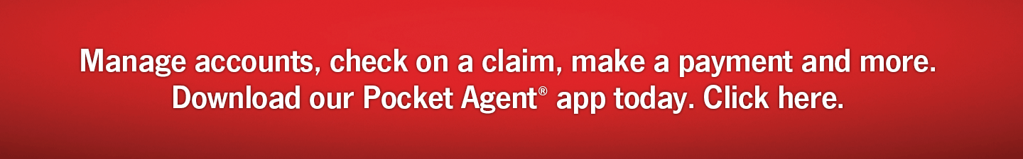 Paul Martin State Farm Insurance Agent In Midlothian Va Manage Accounts Check On A Claim Make Payment And More