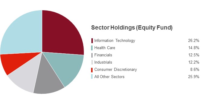 Pie Chart illustrating the Sector Holdings for the State Farm Equity Fund as of 03/31/2018. Information Technology 26.4%, Health Care 12.2%, Consumer Discretionary 10.3%, Industrials 13.8%, Financials 13.2% and All Other Sectors 24.1%.