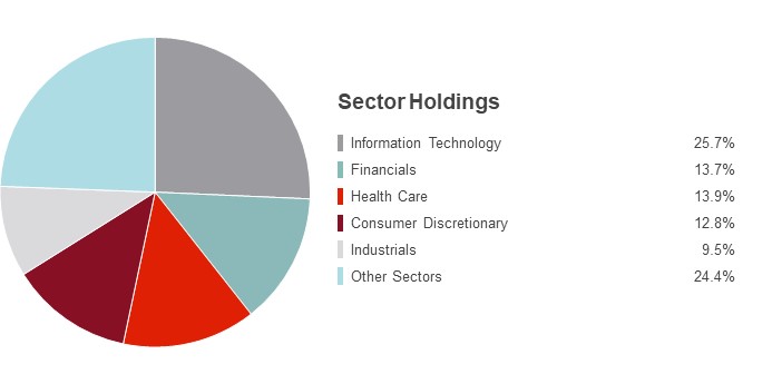 Pie Chart illustrating the Sector Holdings of the State Farm S&P 500 Index Fund as of 03/31/2018. Information Technology 24.7%, Financials 14.6%, Health Care 13.6%, Consumer Discretionary 12.6%, Industrials 10.1% and All Other Sectors 24.4%.
