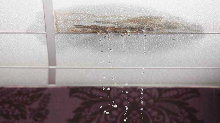 Tips For Water Leakage Prevention At Your Business State Farm