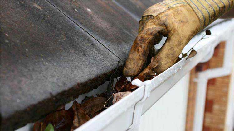 Fall Home Maintenance Safety Tips