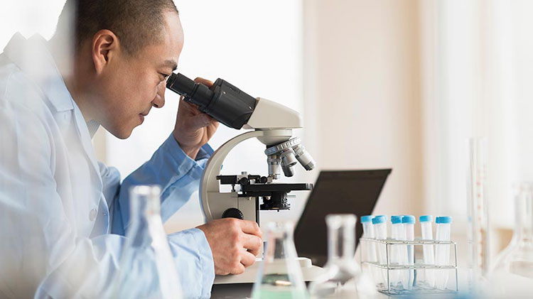 A scientist is looking in to a microscope doing DNA testing.