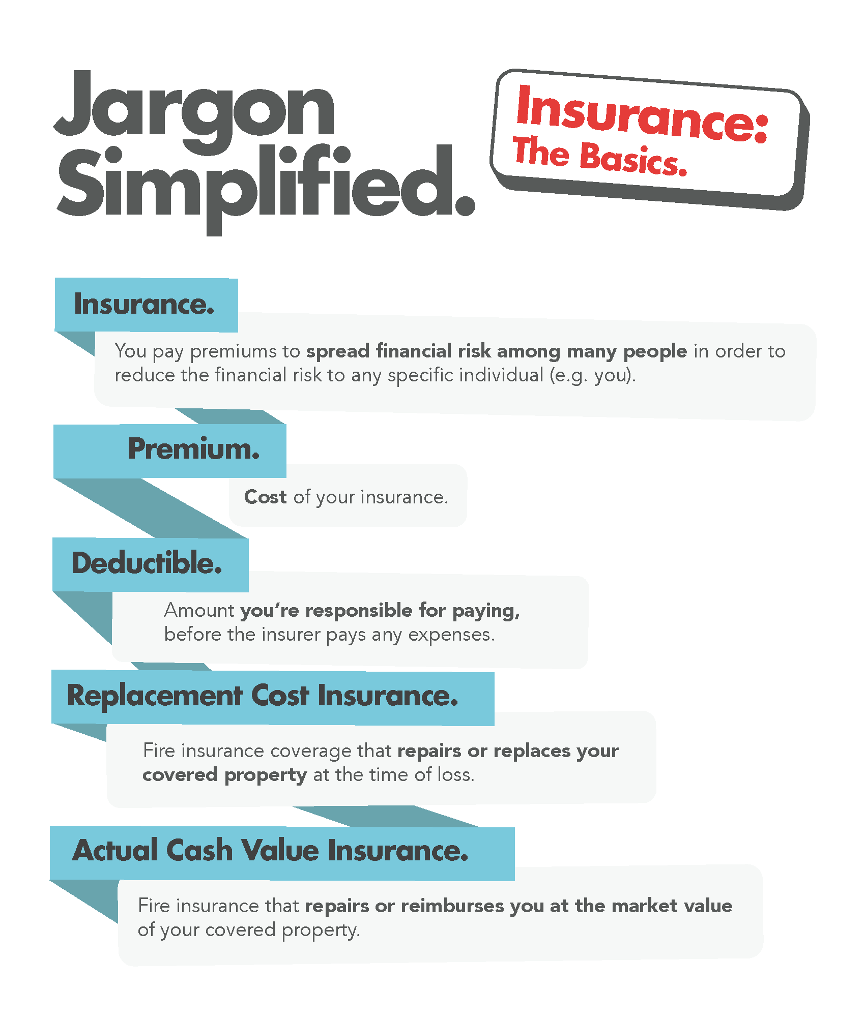Insurance Basics Infographic