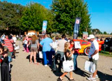 Crowd with Cars 2 in pumpkin patch