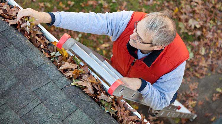 Bloqueadores de corrientes de aire para puertas y ventanas ayudan a mantener un hogar cálido y acogedor
