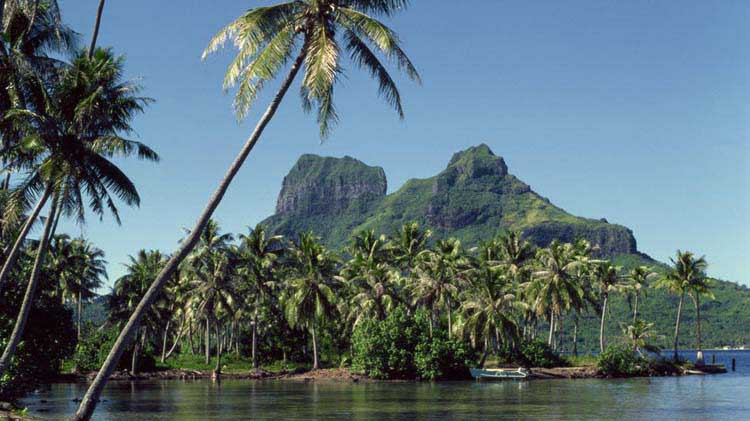 Volcano island with palm trees and small fishing boat