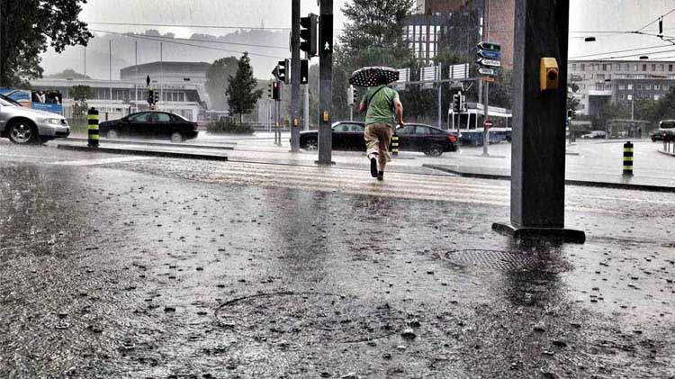 Refugio contra la tormenta