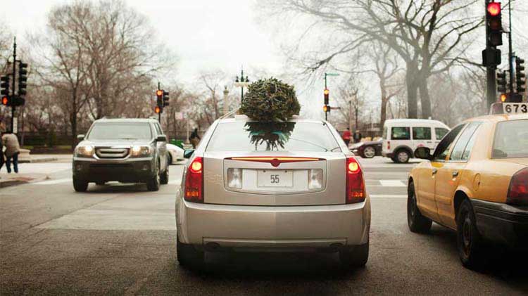 Car driving with a Christmas tree on top